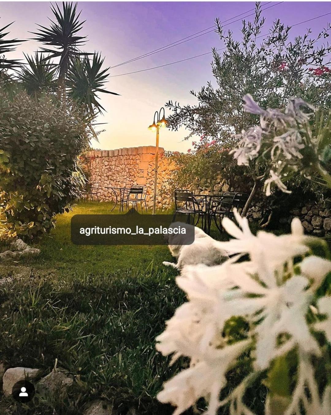 Agriturismo La Palascia Masseria Agreste Otranto Exterior foto
