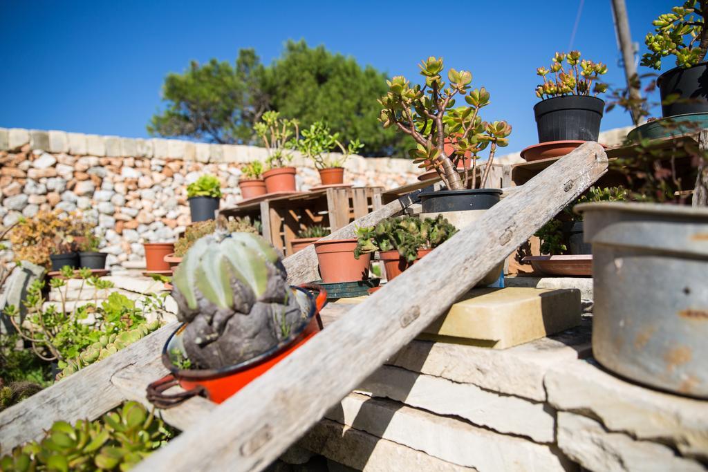 Agriturismo La Palascia Masseria Agreste Otranto Quarto foto